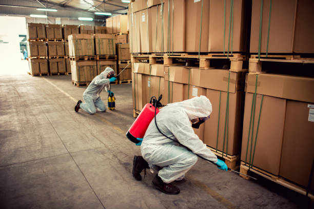 Best Local Pest Control Services  in Larkfield Wikiup, CA