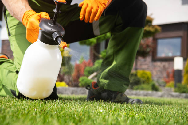 Insect Control in Larkfield Wikiup, CA