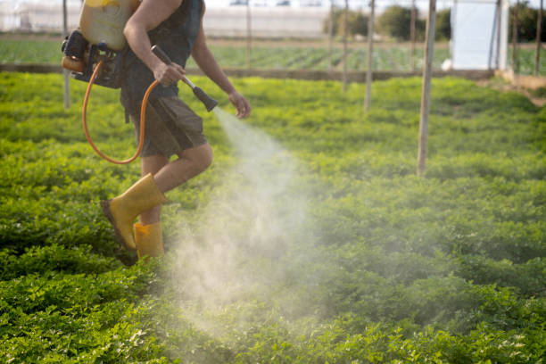 Best Exterminator Services  in Larkfield Wikiup, CA