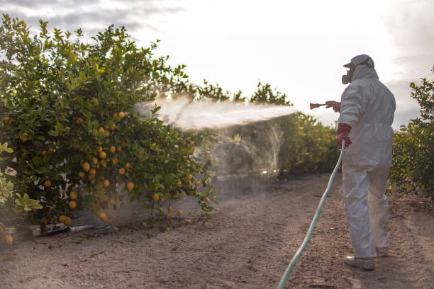 Reliable Larkfield Wikiup, CA Pest Control Solutions